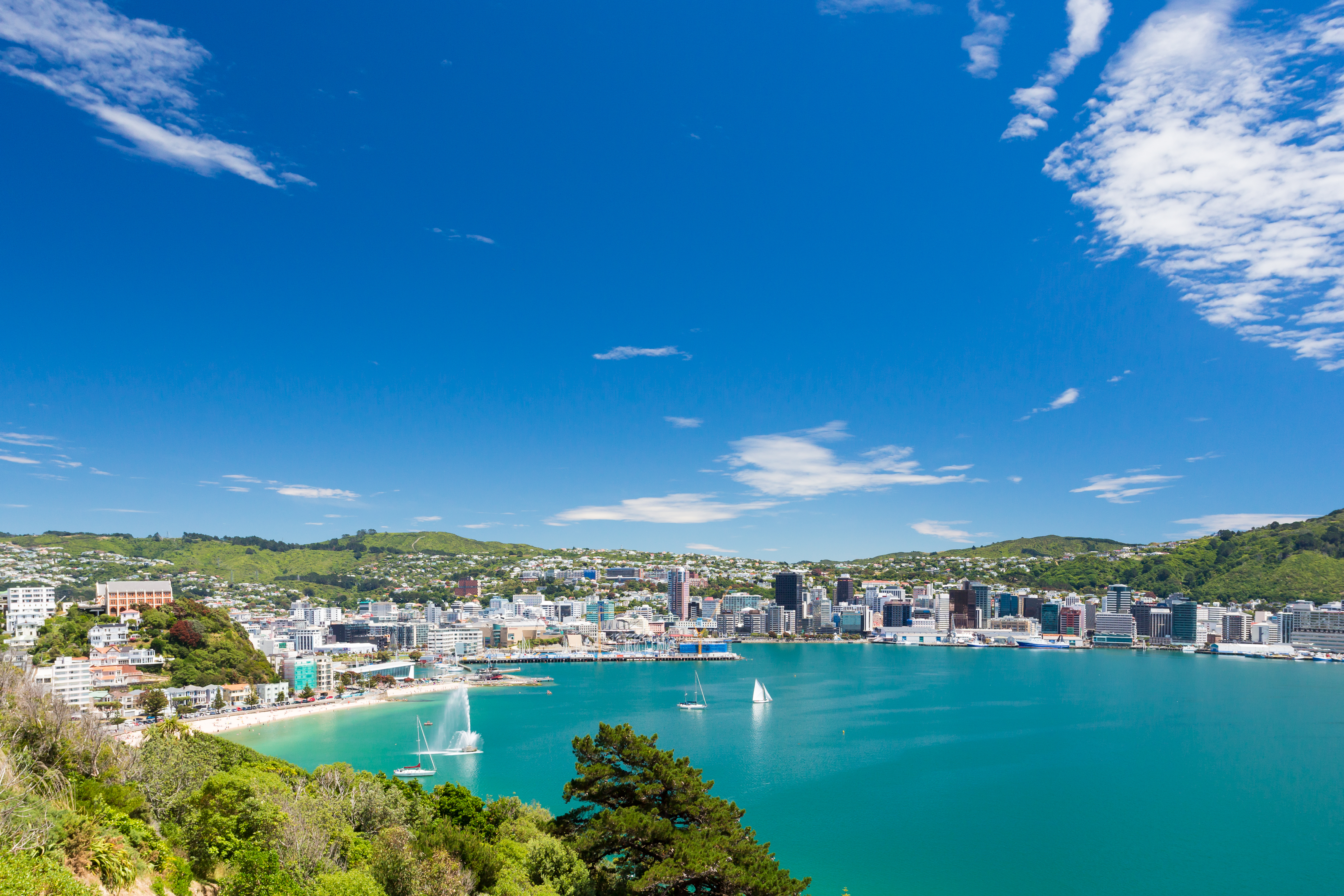 Mount-Victoria-na-baía-de-Wellington-Nova-Zelândia