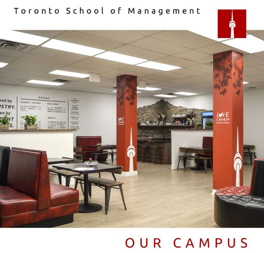 Estude Administração na Toronto School of Management