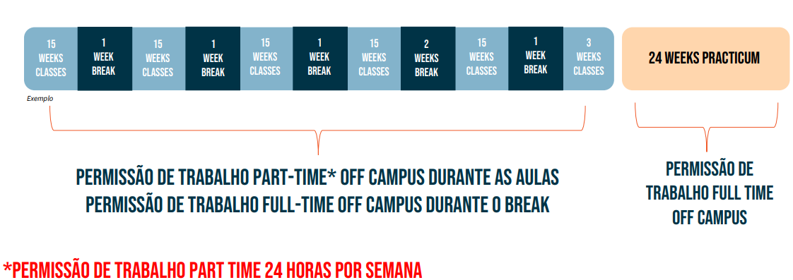 Estrutura Do Diploma Of Vocational Studies, Information Technology Support